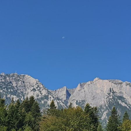 Pensiunea Luna Busteni Luaran gambar